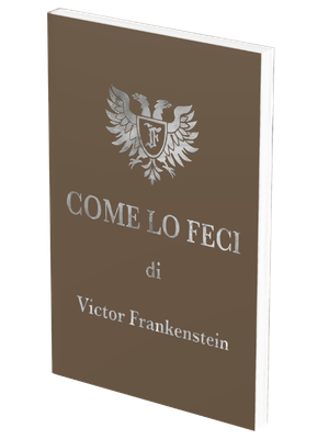 Come lo feci